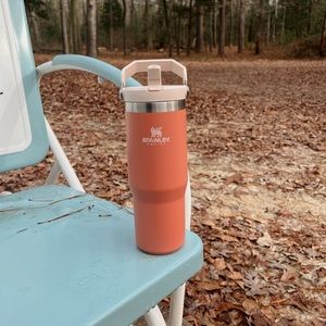 30oz Stanley: Grapefruit 🍊